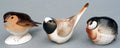 Birds Set