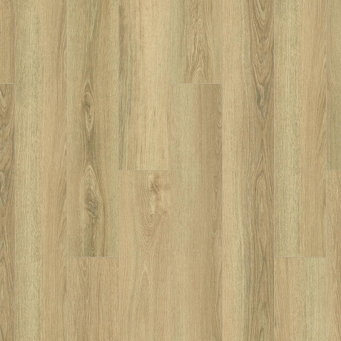 Cashew Montreau Oak 8mm Laminate Wooden Flooring - 1288 x 195 x 8 mm - 2.26 M2 Per box