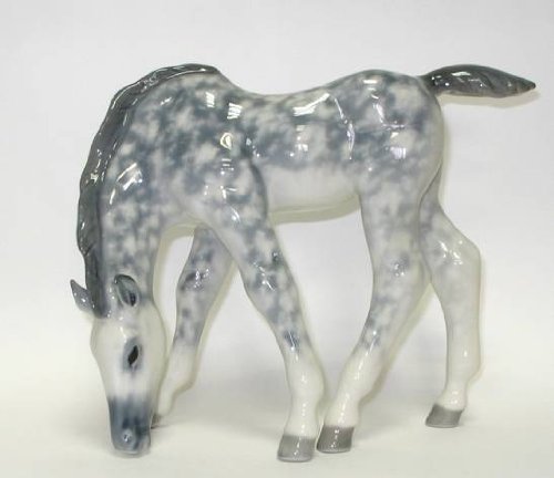 Dappled Colt