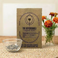 French Orange Marigold Seeds (10 seeds)