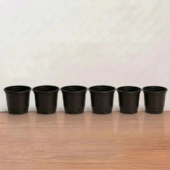 Gardening Pot 3-inch (1pc)