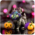 Glow-Eyes Uno Shadow Creature GumiPoni