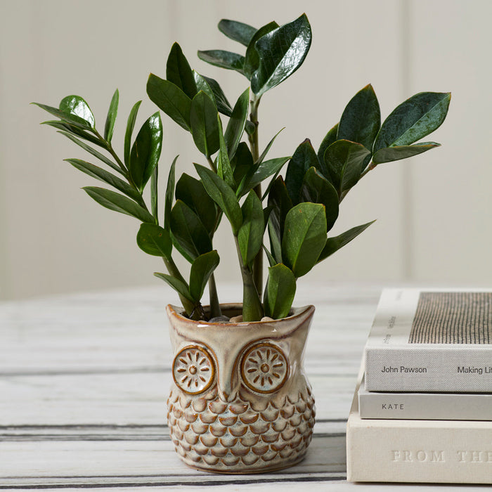 Great Horned Owl Vessel