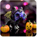 Gus Shadow Creature GumiPoni