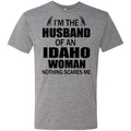 NL6010 Next Level Men's Triblend T-Shirt / Premium Heather / S
