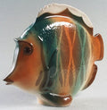 Large Tropical Fish