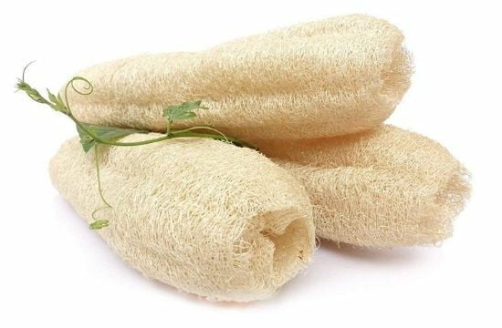 Finest pieces of Loofah kept against a white background.