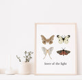"Lover of the Light" Moth Print