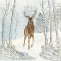 LUNCH- CERF HIVER