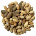 This is an image of several neem seeds placed against white color background.