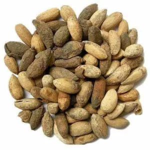 This is an image of several neem seeds placed against white color background.