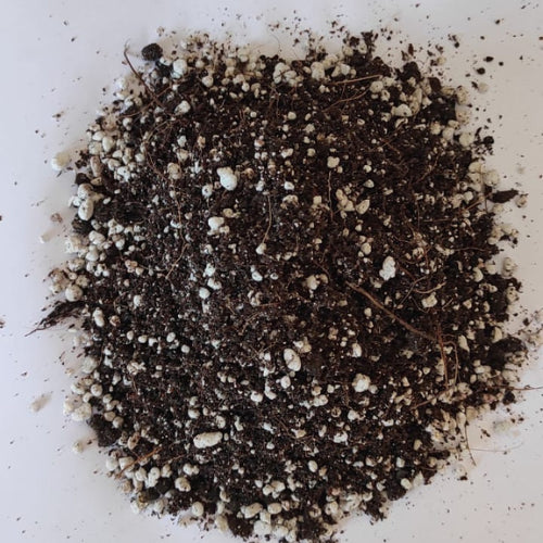 Potting Mix for plants.