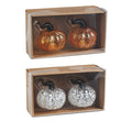 Pumpkin Salt and Pepper Set