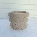 Scalloped Cement Planter Pot