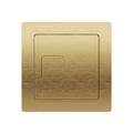 Square Dual Flush Plate - Brushed Brass