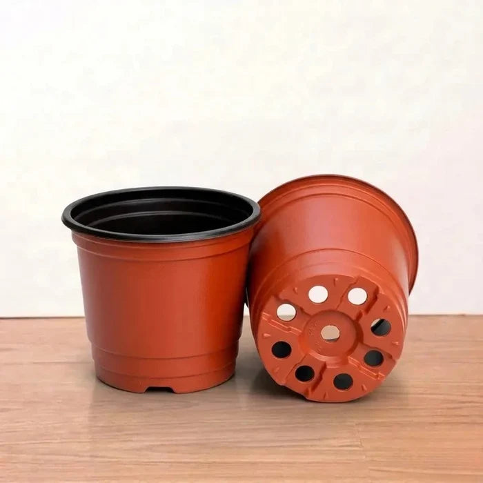 TFP Gardening Pot 3.5inch (1Pc)