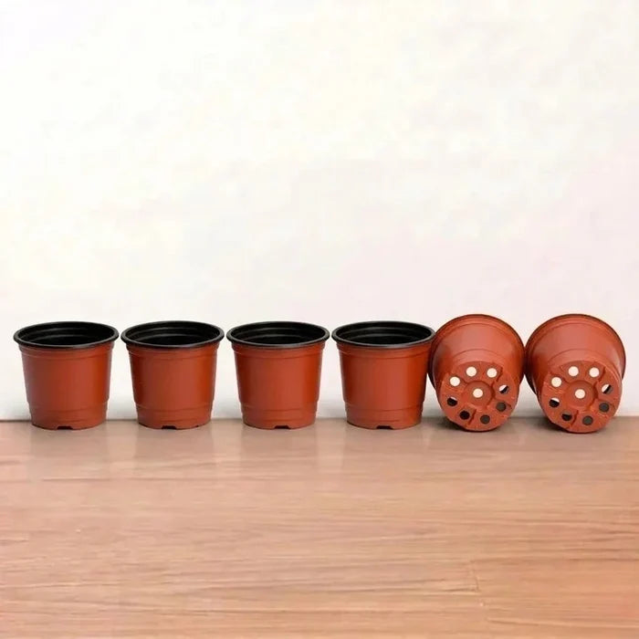 TFP Gardening Pot 3.5inch (1Pc)