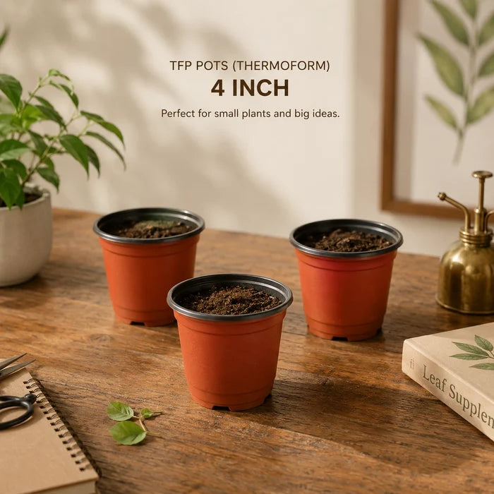 TFP Gardening Pots Set of 3 (Thermoform) (4 inch)