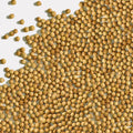 Whole Spice Company | Coriander Seeds