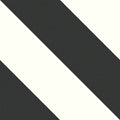 Zebra Black 22.3 x 22.3cm Porcelain Pattern Tile - 1.15 sqm perbox